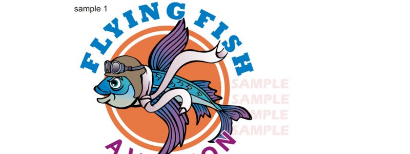 Aviation logo design